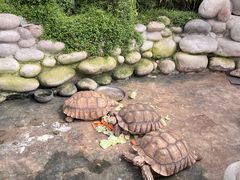 -南宫五洲植物乐园