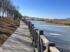 -野鸭湖国家湿地公园