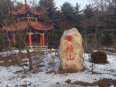 -黄椅山火山森林公园
