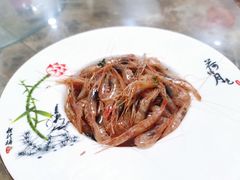 红芒子虾-海鲜人家(吕四店)