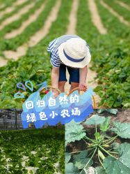 -麦粒鸟亲子游