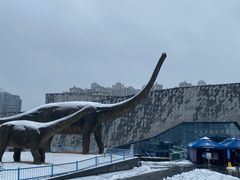 -安徽省地质博物馆