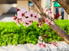 -北京稻香村(花市店)