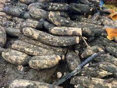 -昆明东站农贸市场