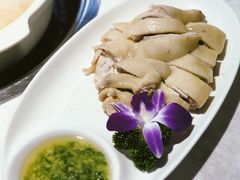 -广顺鑫猪肚鸡(经八路店)