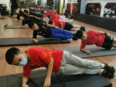 -温鉴良实用咏春拳
