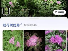-堤角公园