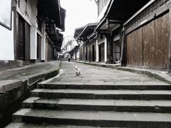 -沕沕水生态风景区