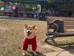 -上海海湾国家森林公园