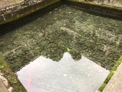 -王氏凉糕(总店)