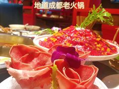 -潘十九地道成都老火锅(孙桥店)