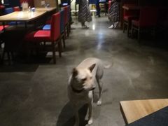 -Cactus墨西哥仙人掌餐厅