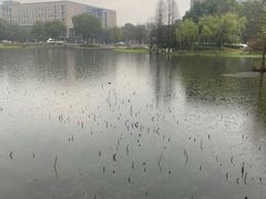 -3W咖啡(国家软件园店)