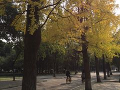 -四川大学(望江校区)