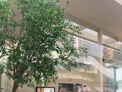 -BeauTea水仙(coco park店)