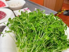 -南门涮肉(天坛店)