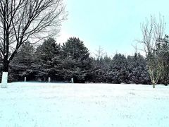 -北京园博大酒店