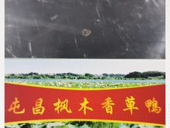 -盐禾堂海南屯昌香草鸭(总店)
