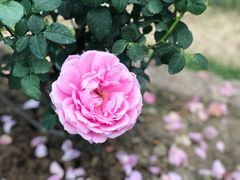 -人民公园(罗湖区)