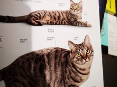 -SISYPHE BOOKS西西弗书店(龙湖滨江天街店)