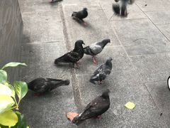 -詹爷爷乌节路街头冰淇淋