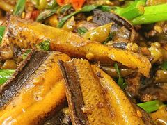 -盘龙黄鳝(盘龙居店)