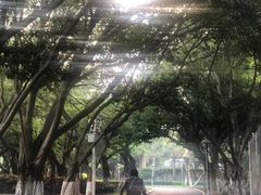 -四川名小吃·宜宾燃面(鼓新路店)