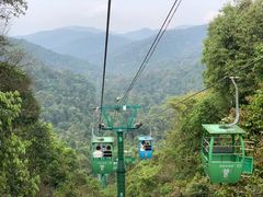 -野象谷景区