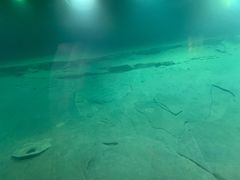 -白鹤梁水下博物馆