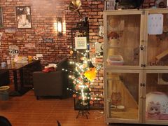 -MAX伯爵真人游戏密室体验馆(金沙湖店)
