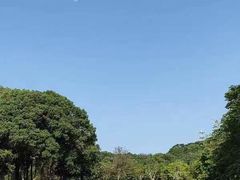 -福建鲤鱼洲酒店