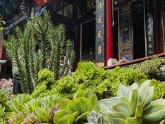 -寂照庵