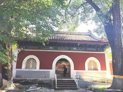 -北京艺术博物馆(万寿寺)