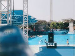 -杭州浪浪浪水公园