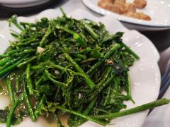-翡翠老鸭店