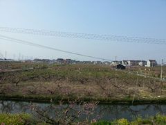 android_upload_pic-南汇桃花村