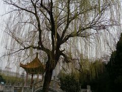 -咸阳湖景区-古渡公园