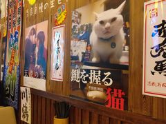 -坂吉屋·居酒屋深夜食堂(龙湖店)