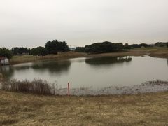 球场-银涛高尔夫练习场(徐泾店)