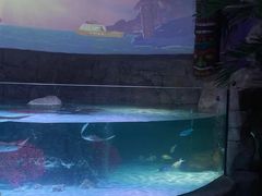 -沈阳海洋探索中心