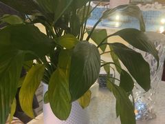 -天空花园餐吧·生日·团建(南山店)