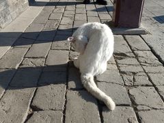-张学良旧居陈列馆