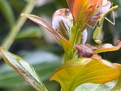 -梅州天地人花园酒店(梅县人民广场店)