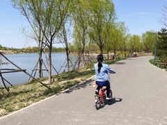 -东郊湿地公园