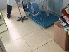 -骐奇宠物诊疗中心(南亭公路店)