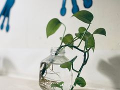 -味之绝热血美蛙鱼火锅(中坝店)