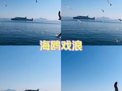-大连海昌东方水城