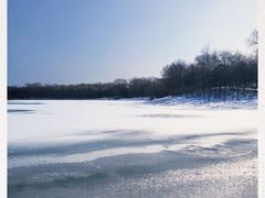 -大兴滨河森林公园