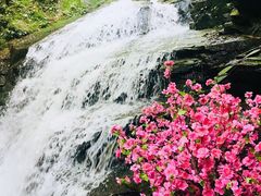 -藏龙百瀑风景区