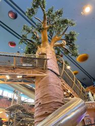 -卡通尼·Safari非洲探索乐园·生日会(金桥国际商业广场店)